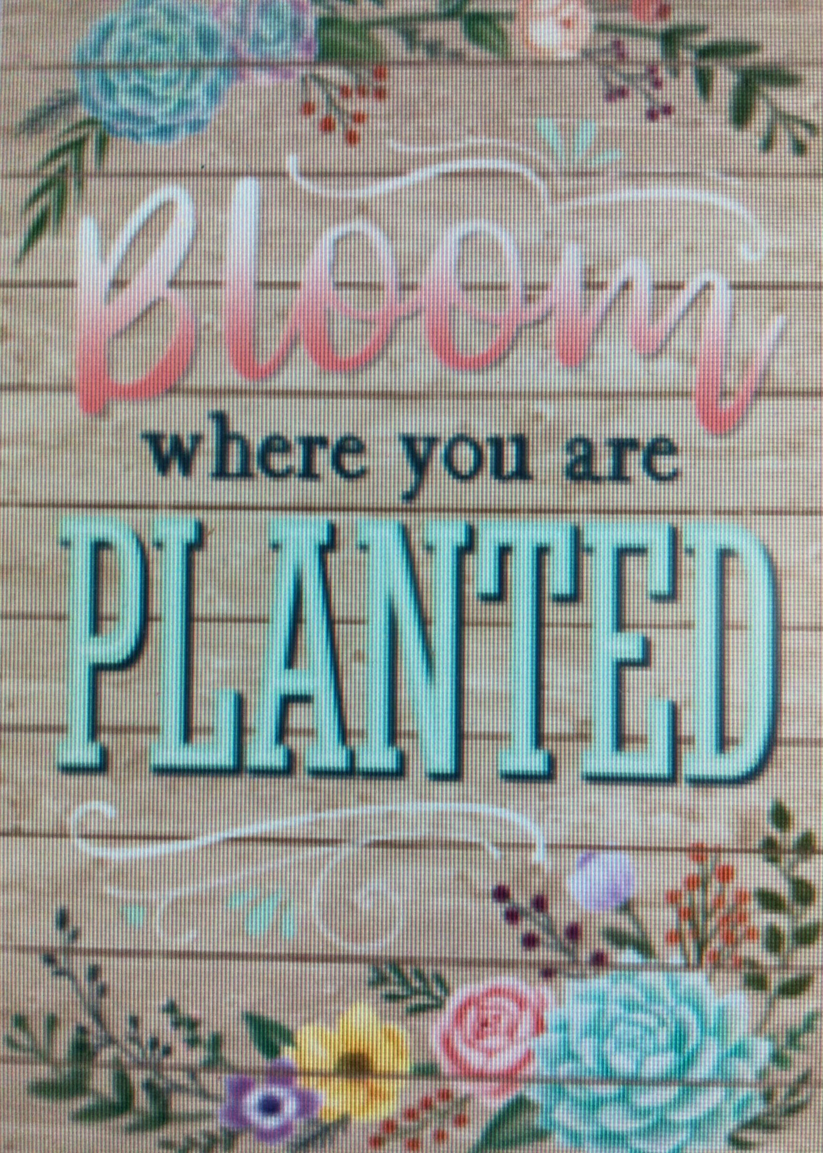 Rustic Bloom Bloom Where You Are Planted Poster