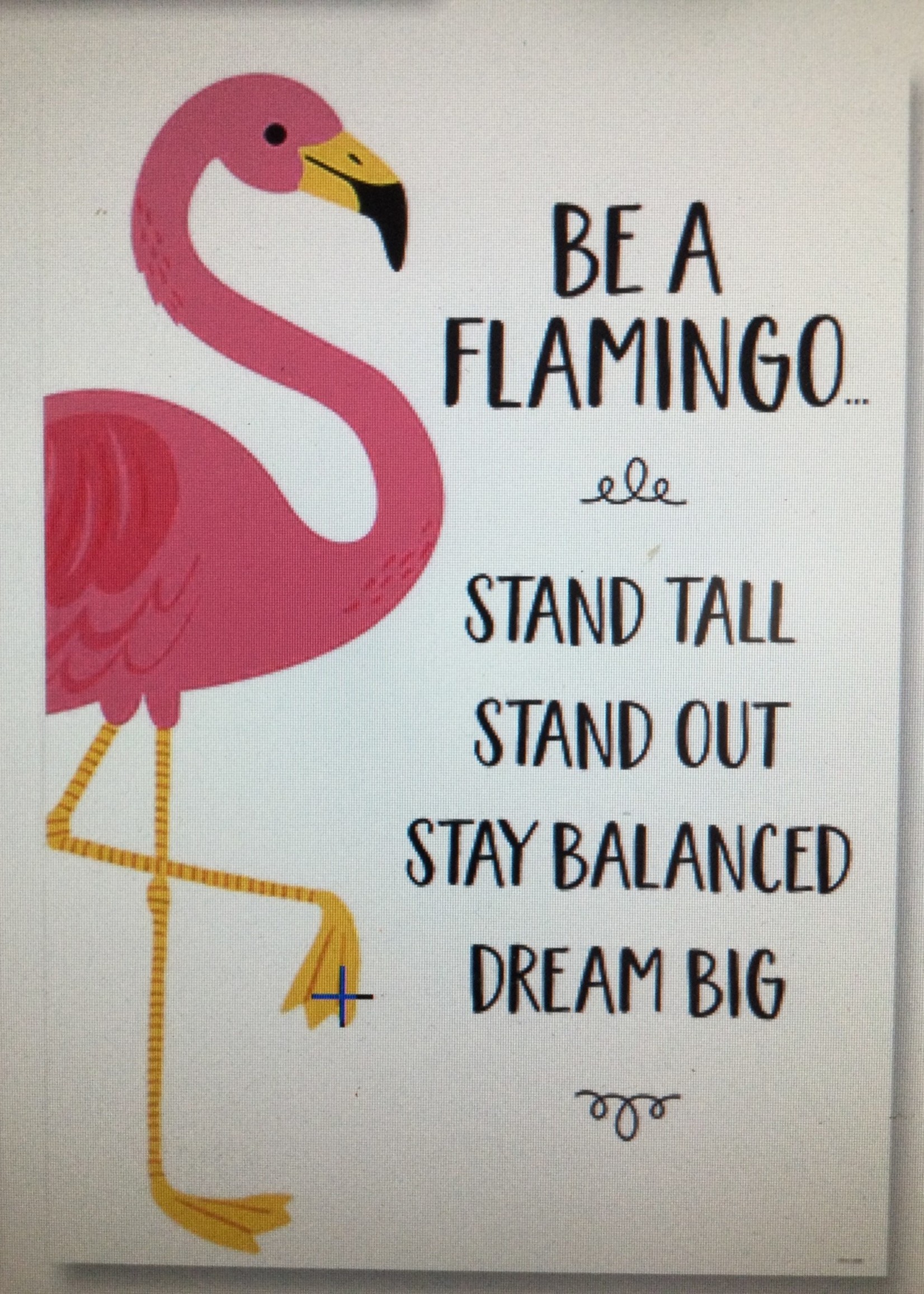 Be A Flamingo Poster