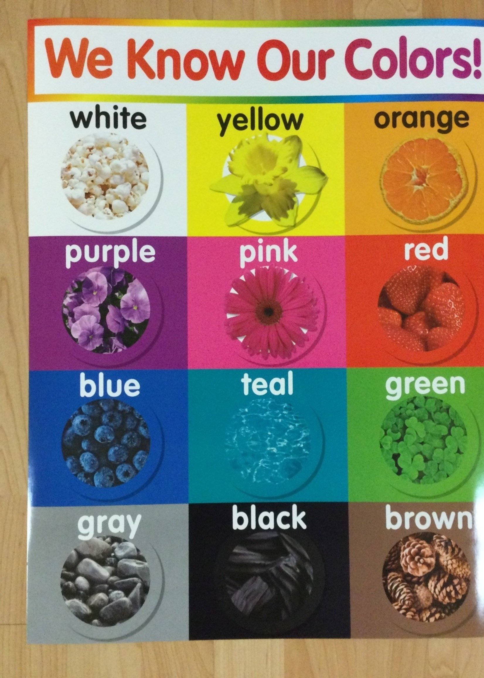 We Know Our Colors Chart