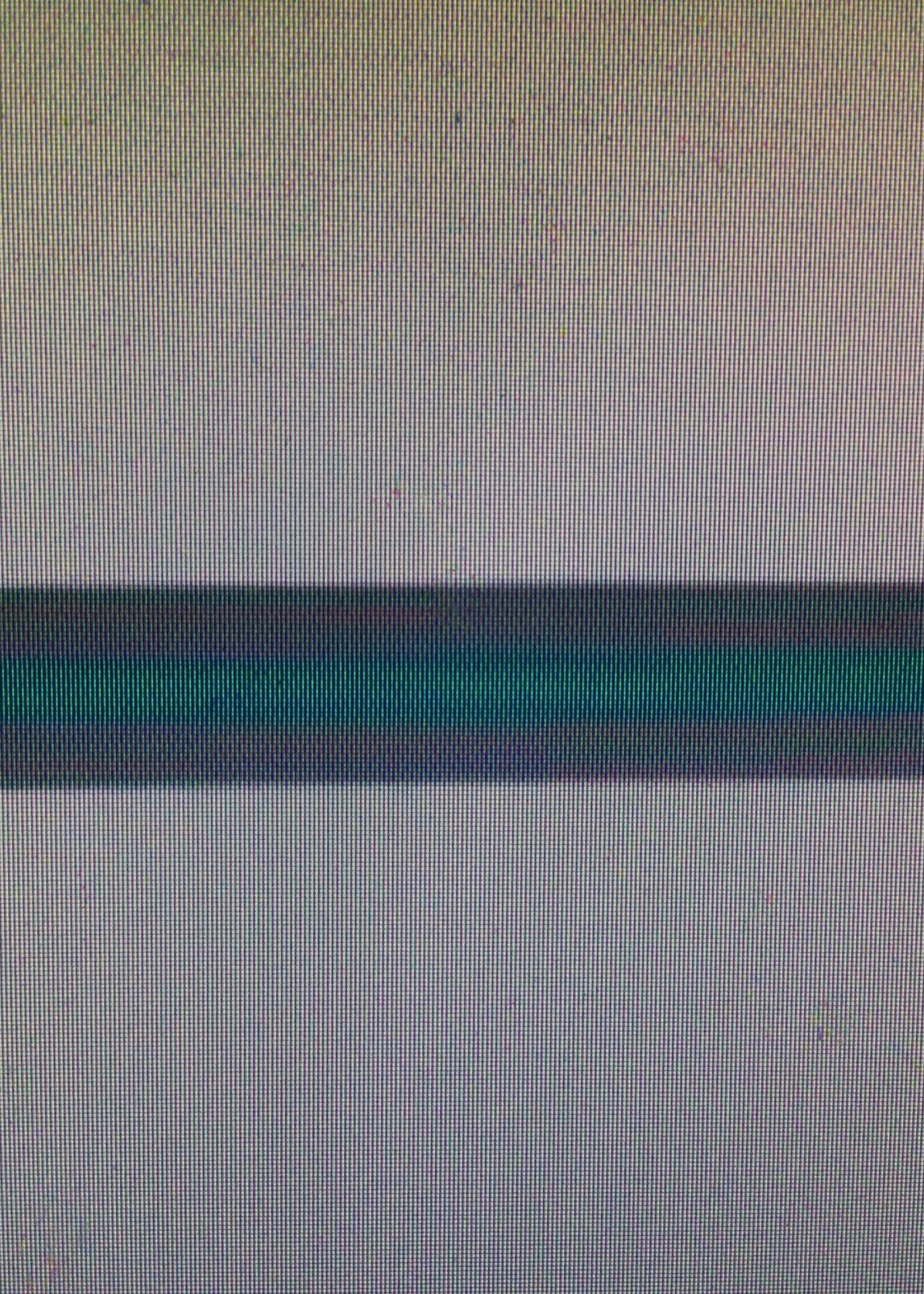 Green Reading Guide Strip