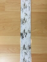 Schoolgirl Style Woodland Whimsy Birch Tree Border