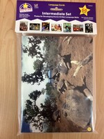 Intermediate Set Language Cards 68 photos