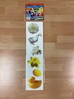 Colors in Photos Mini Bulletin Board