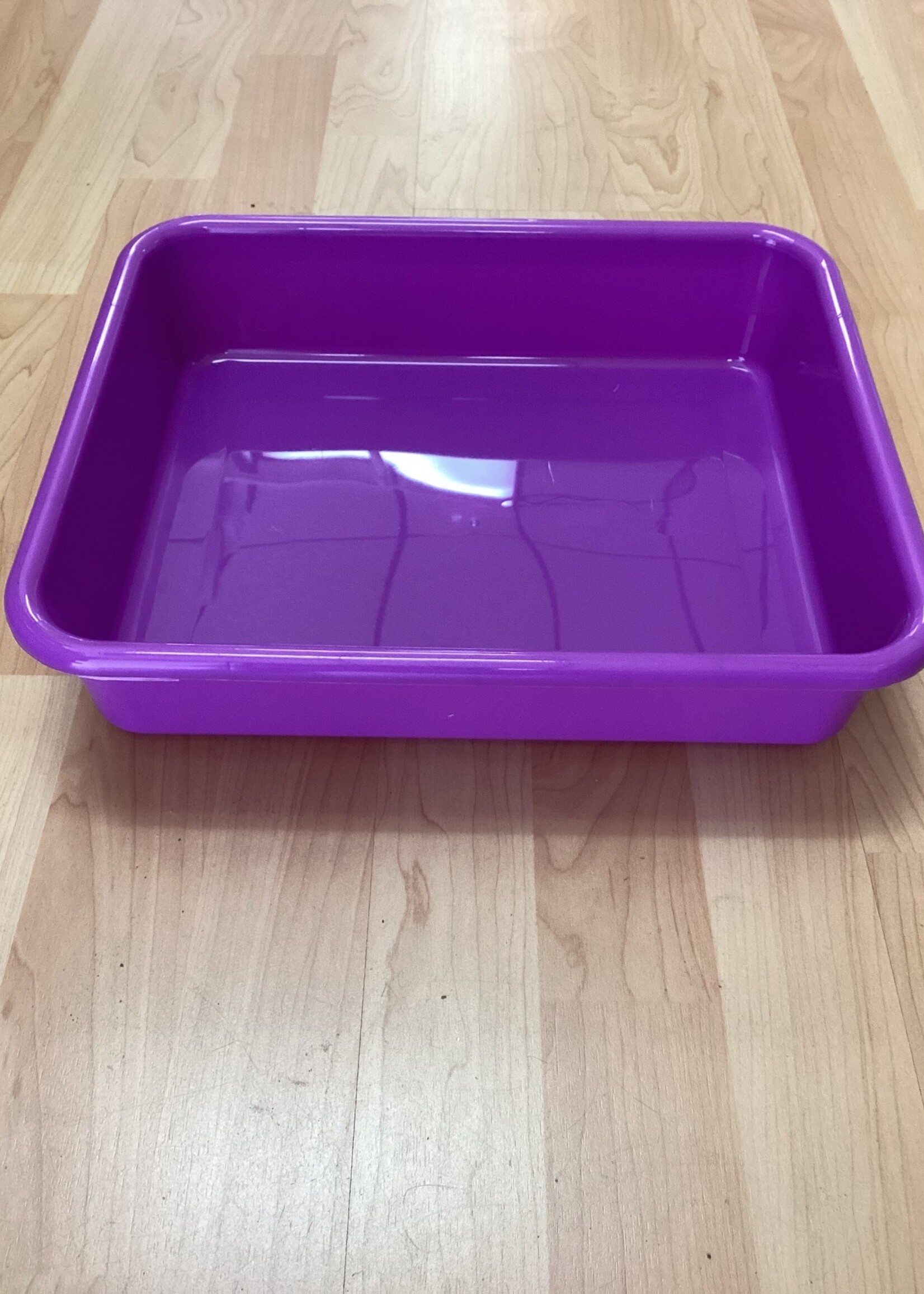 Purple Large Plastic Letter Tray