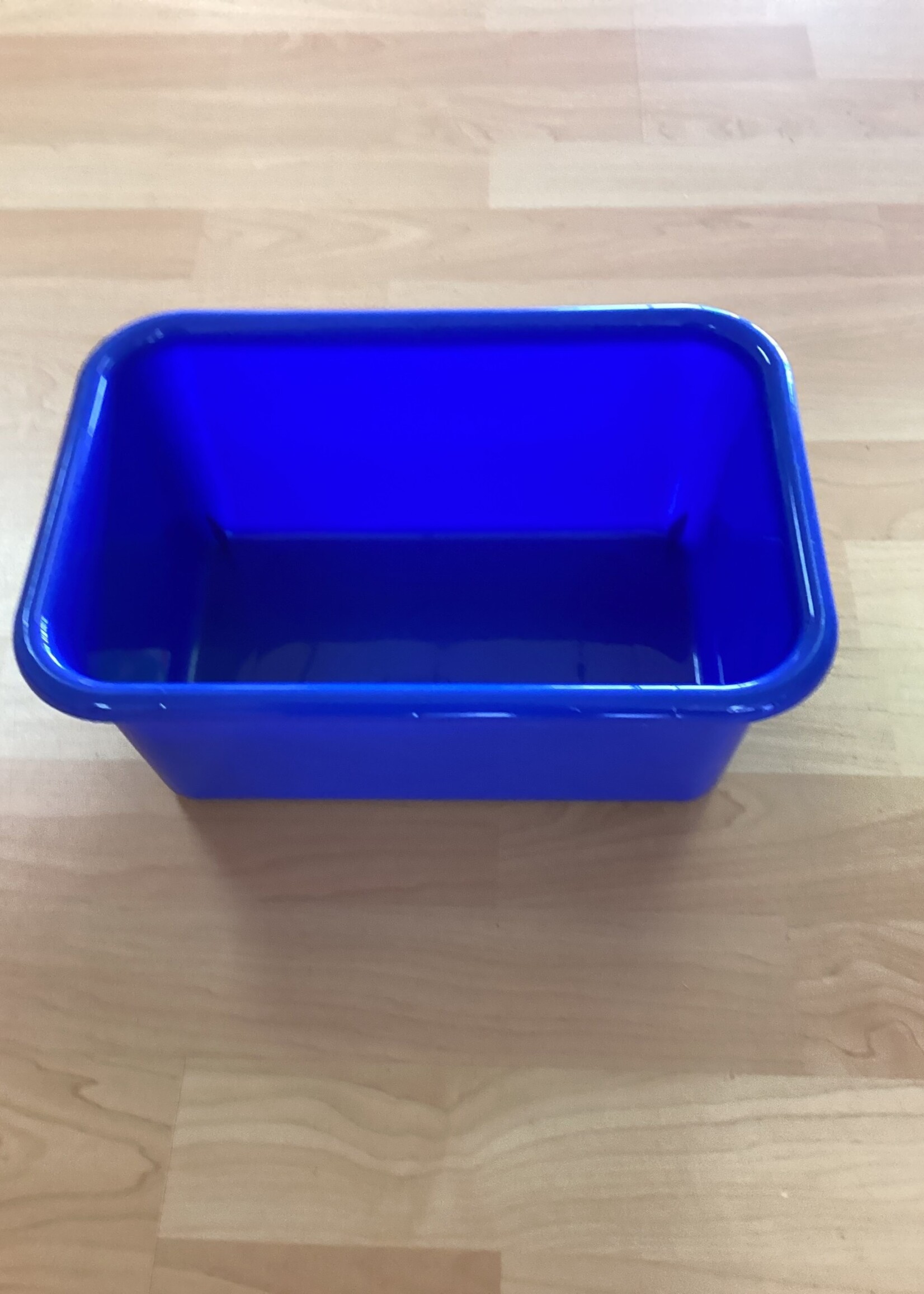 Small Blue Storage Bin