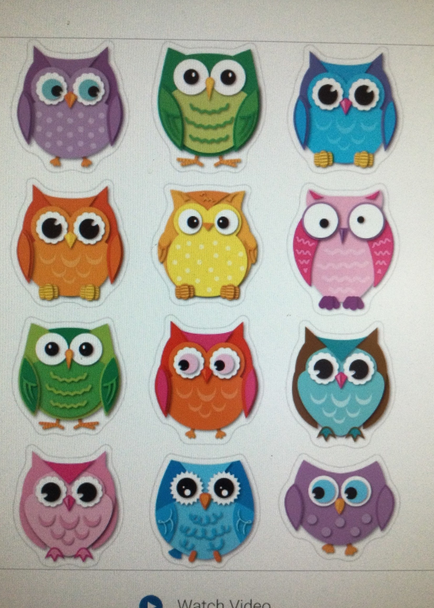 Colorful Owls Stickers (72)