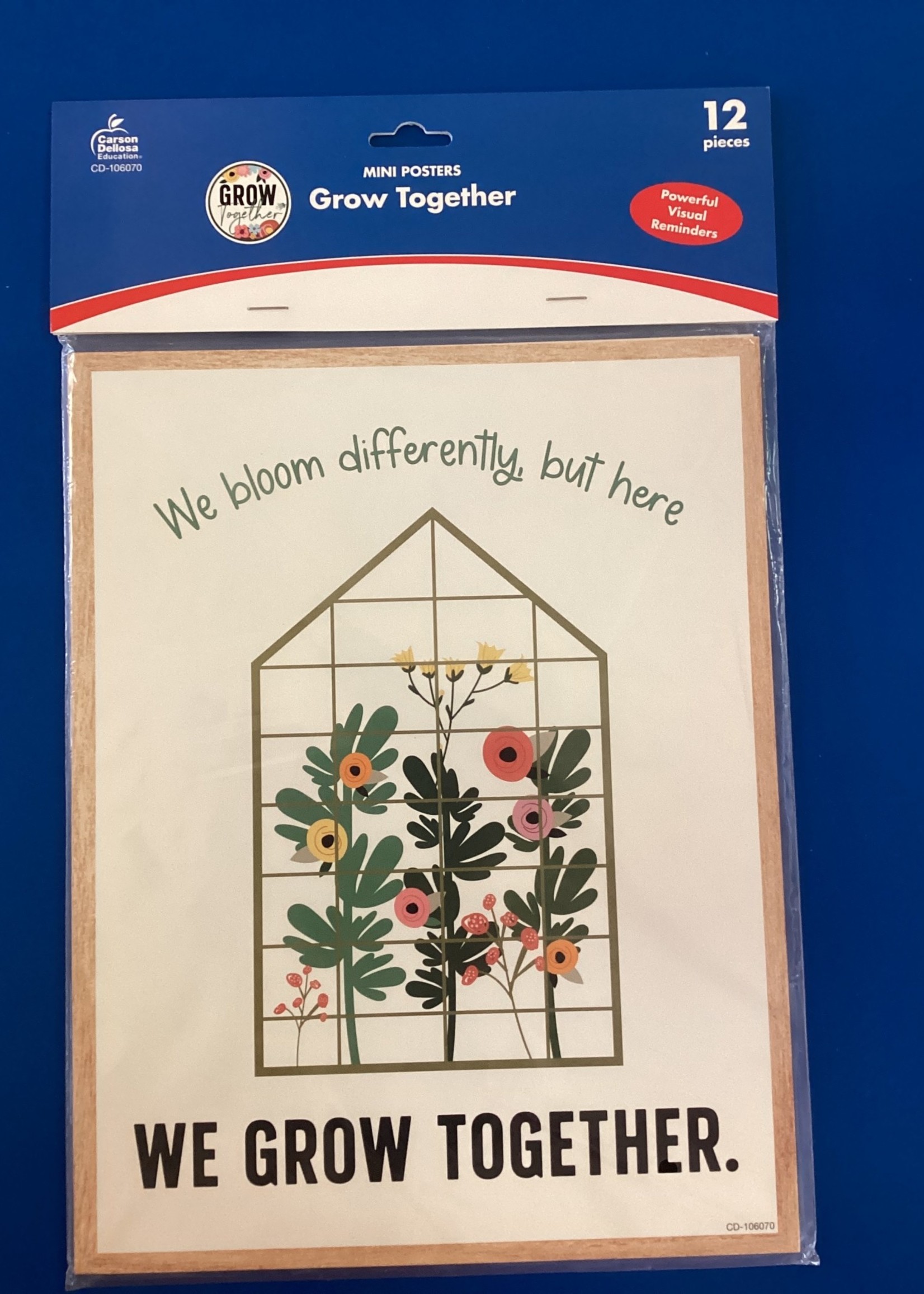Grow Together Motivational Mini Posters 12 pc