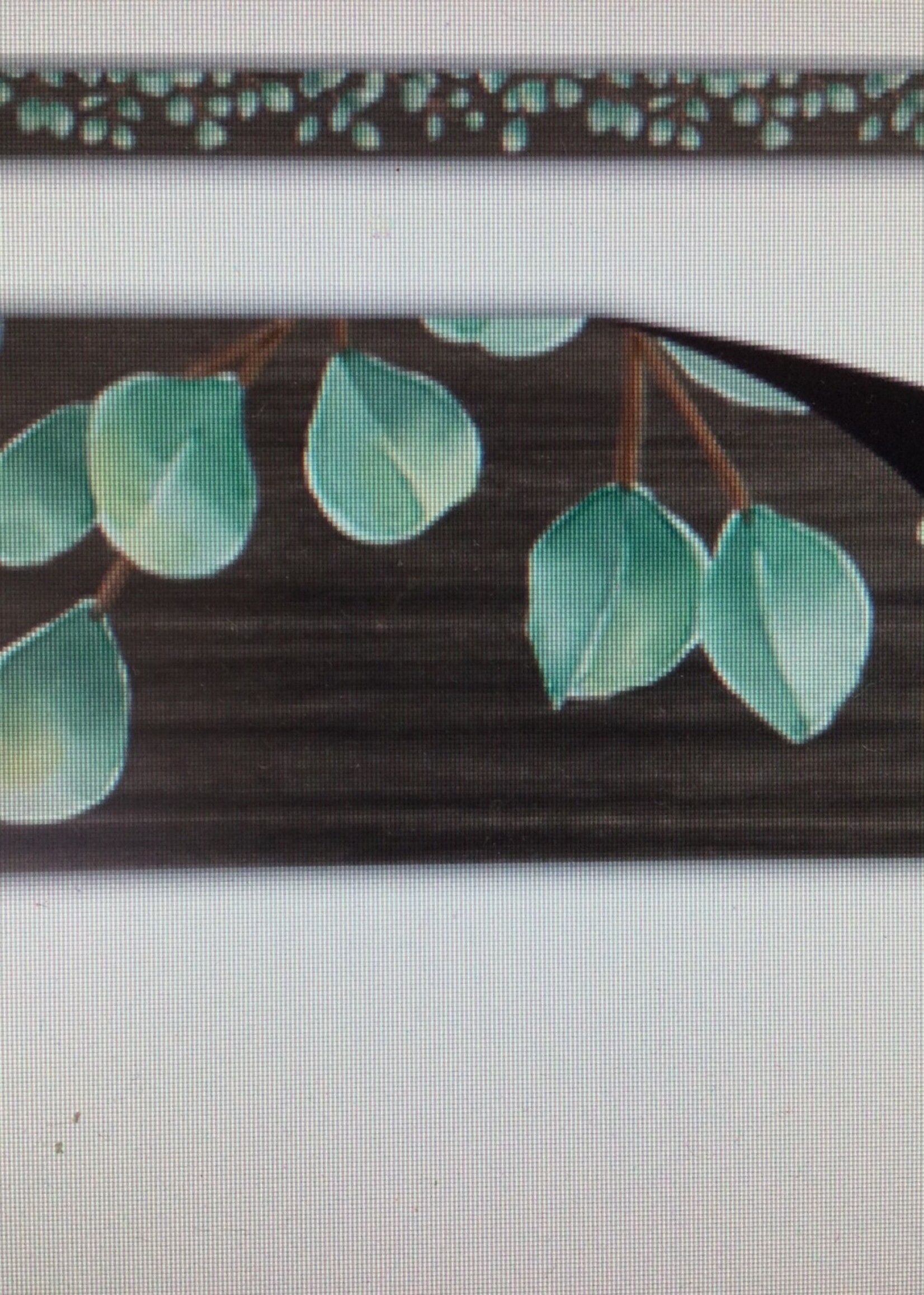 Eucalyptus Magnetic Border 24'