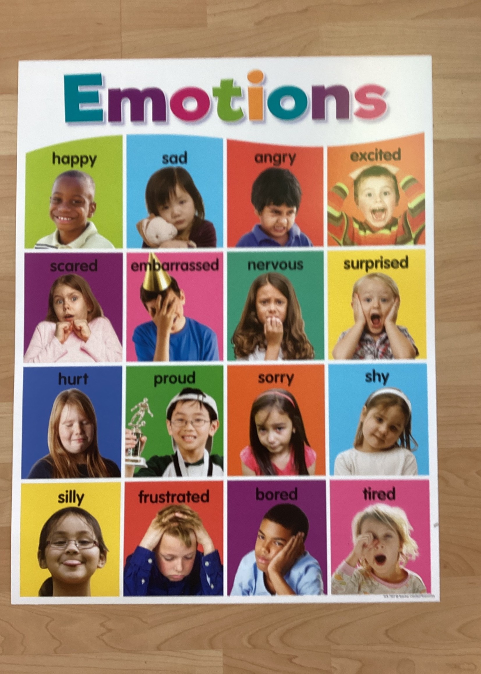 Emotions Photo Chart