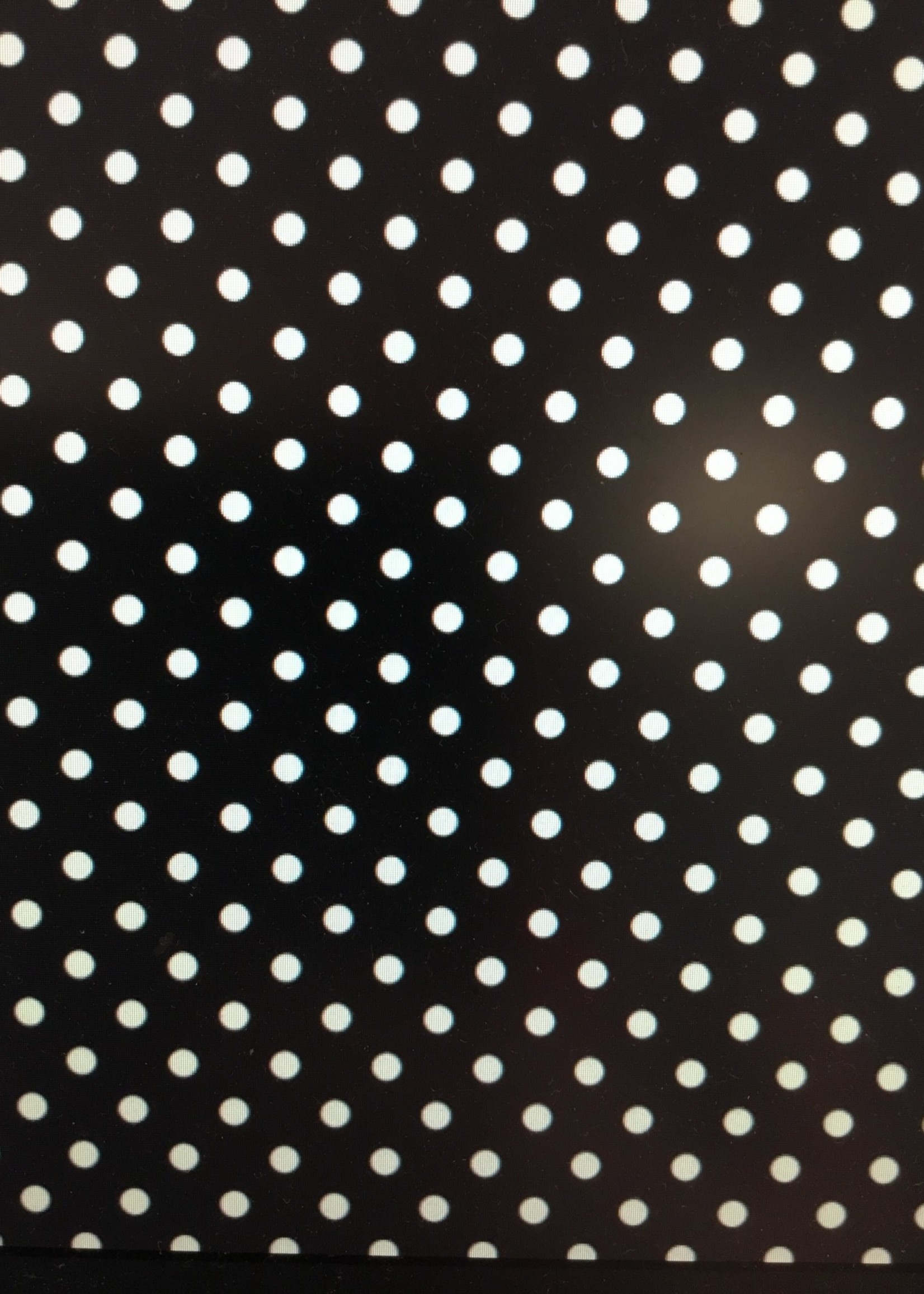 Black/White Dots Fadeless Bulletin Board Paper 4'x12'