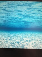 Under the Sea Fadeless Bulletin Board Paper 4' x 12'