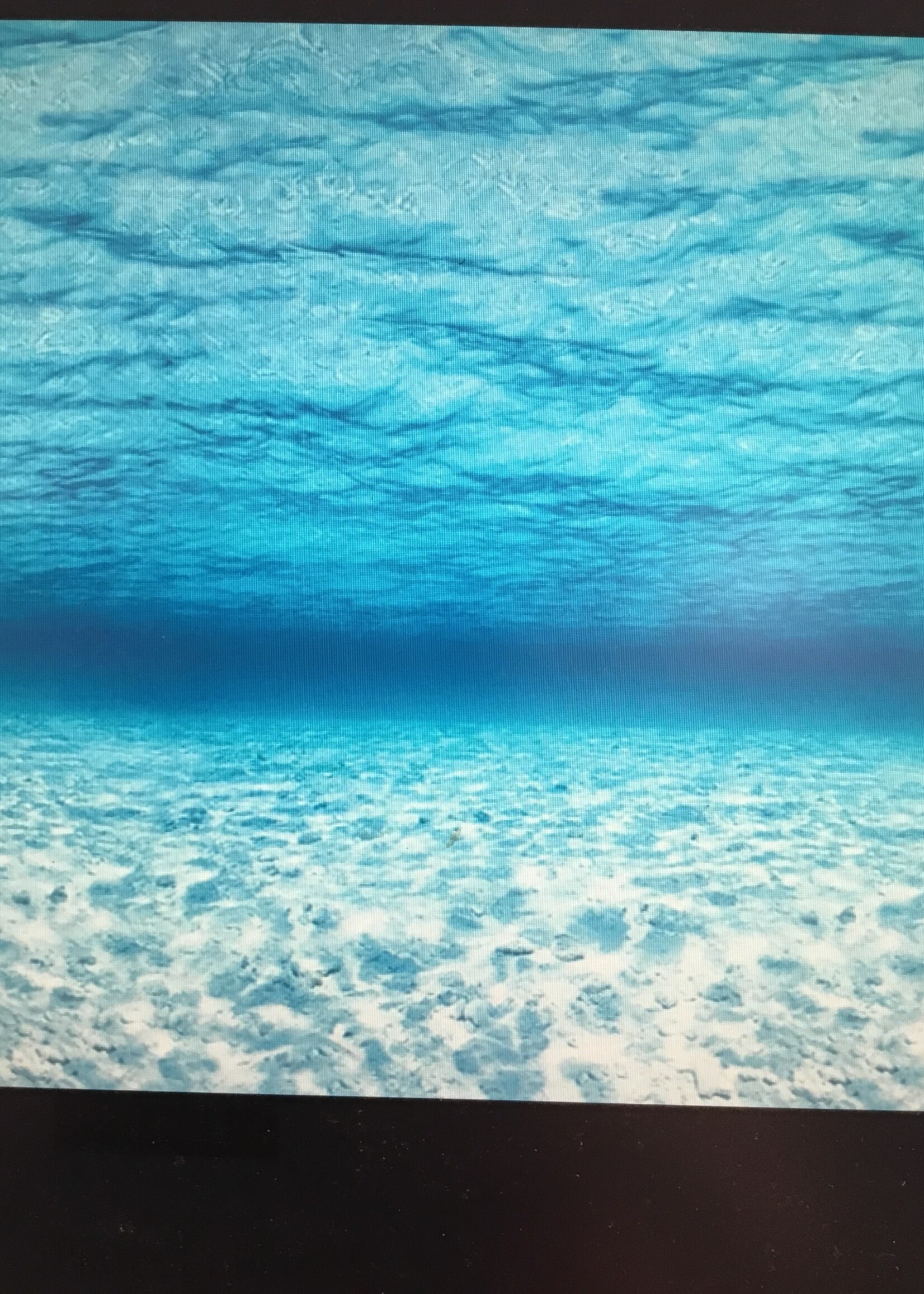 Under the Sea Fadeless Bulletin Board Paper 4' x 12'