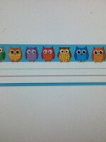 Colorful Owls Nameplates