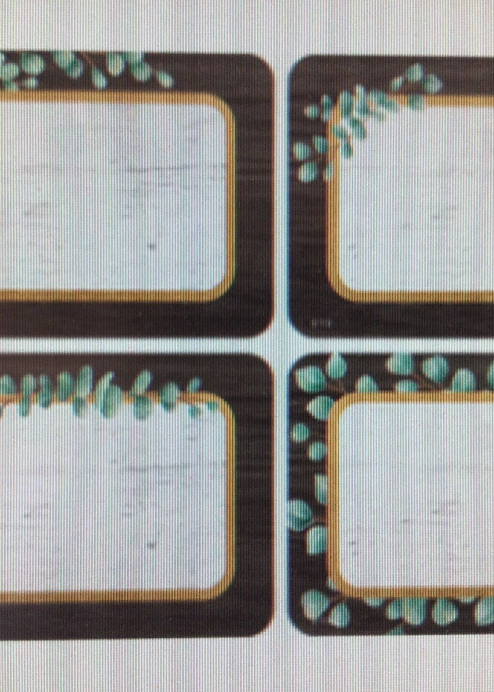 Eucalyptus Name Tags 36pc