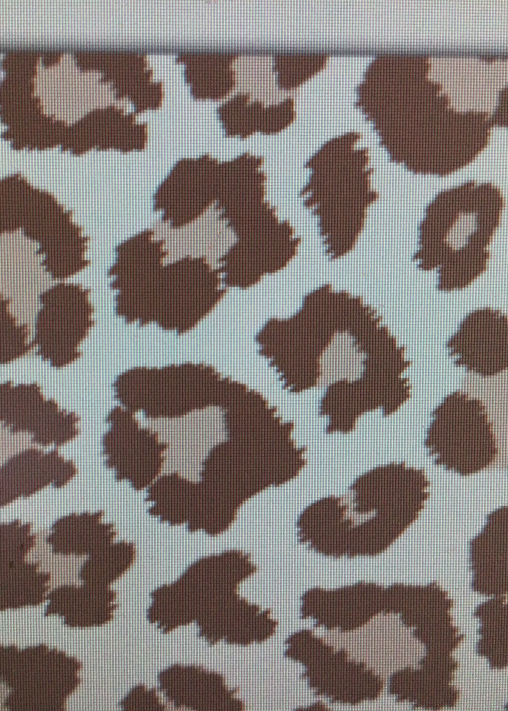 Blush Leopard Print Border