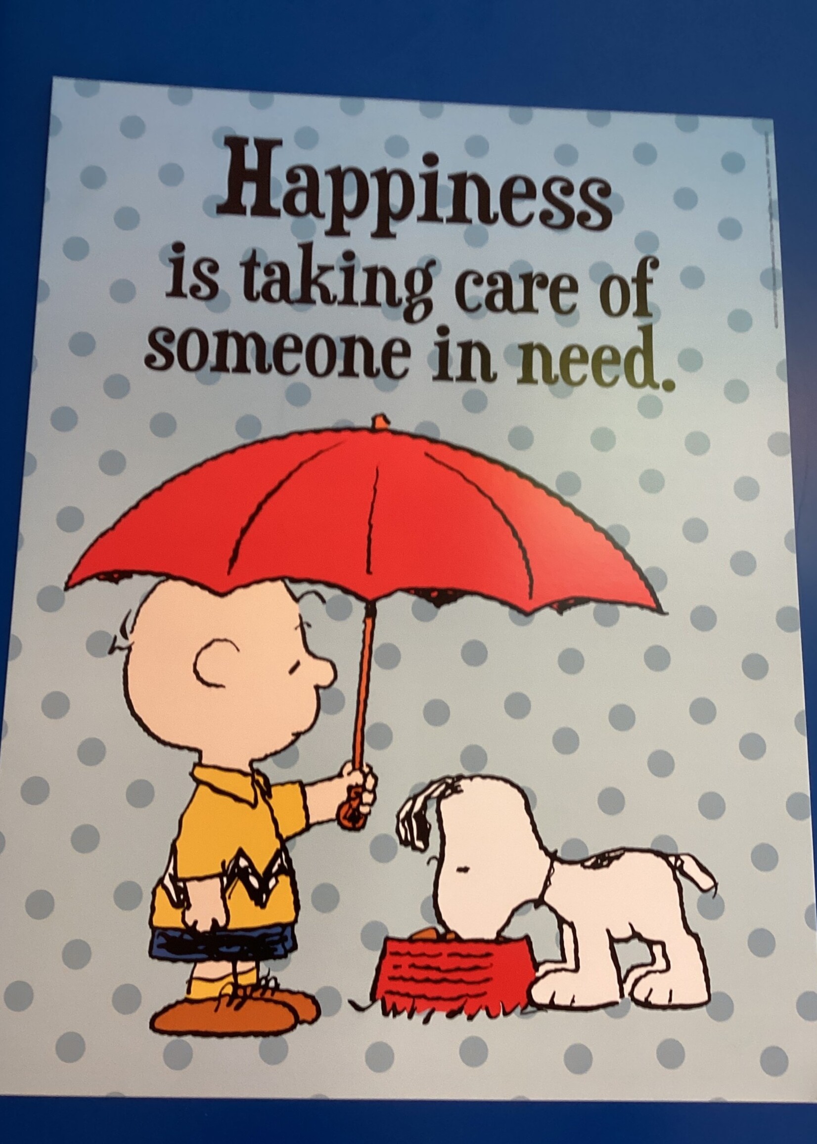 Peanuts-Happiness is Taking Care of Someone in Need Poster