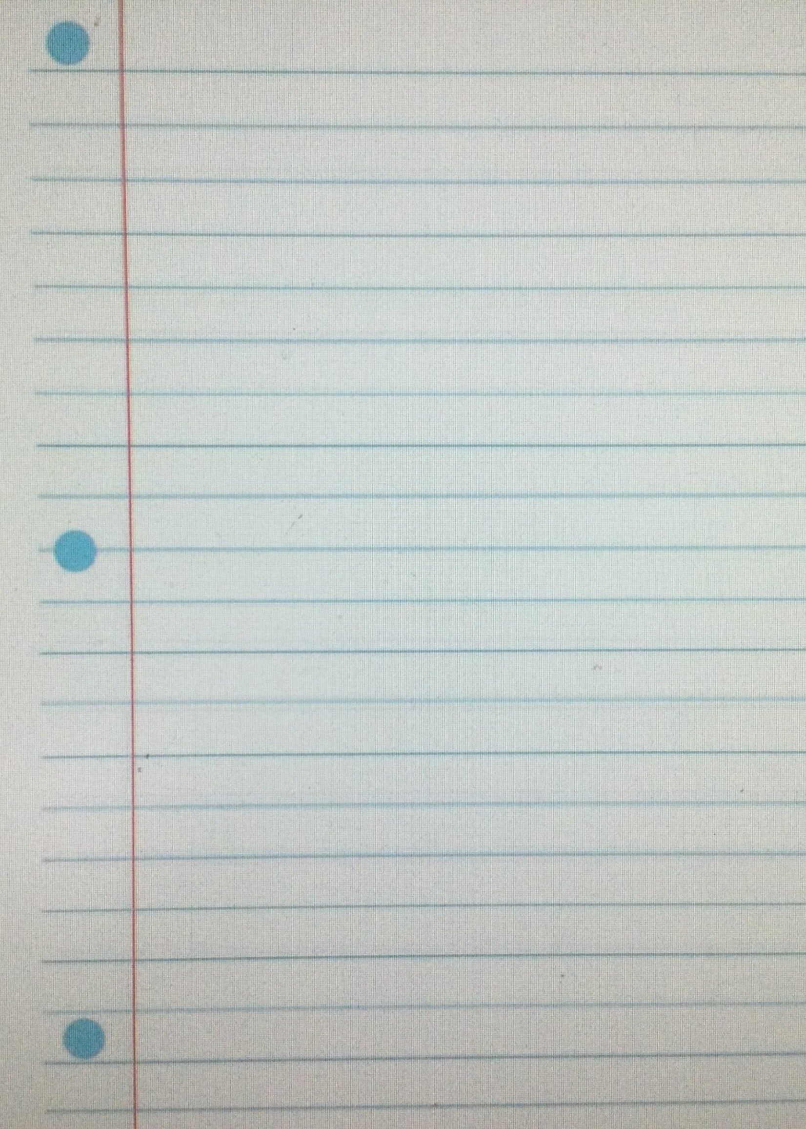 Magnetic Notebook Page 8"x12"