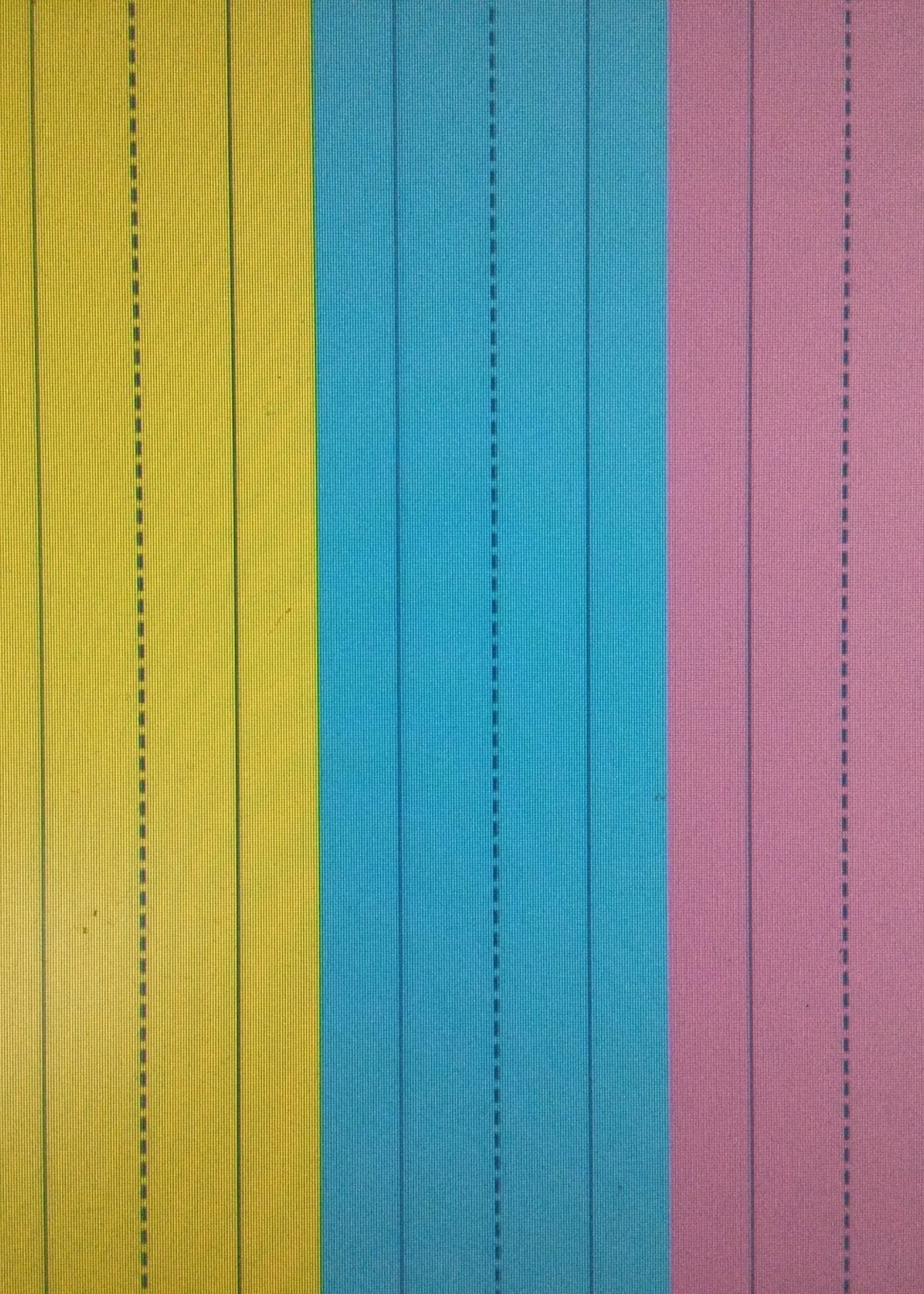 Magnetic Sentence Strips 3 13"pc
