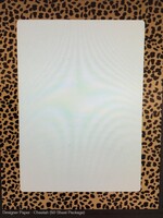 Cheetah Computer Paper 50 sheets