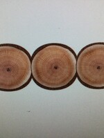 A Close Knit Class Wood Circles Border 37'