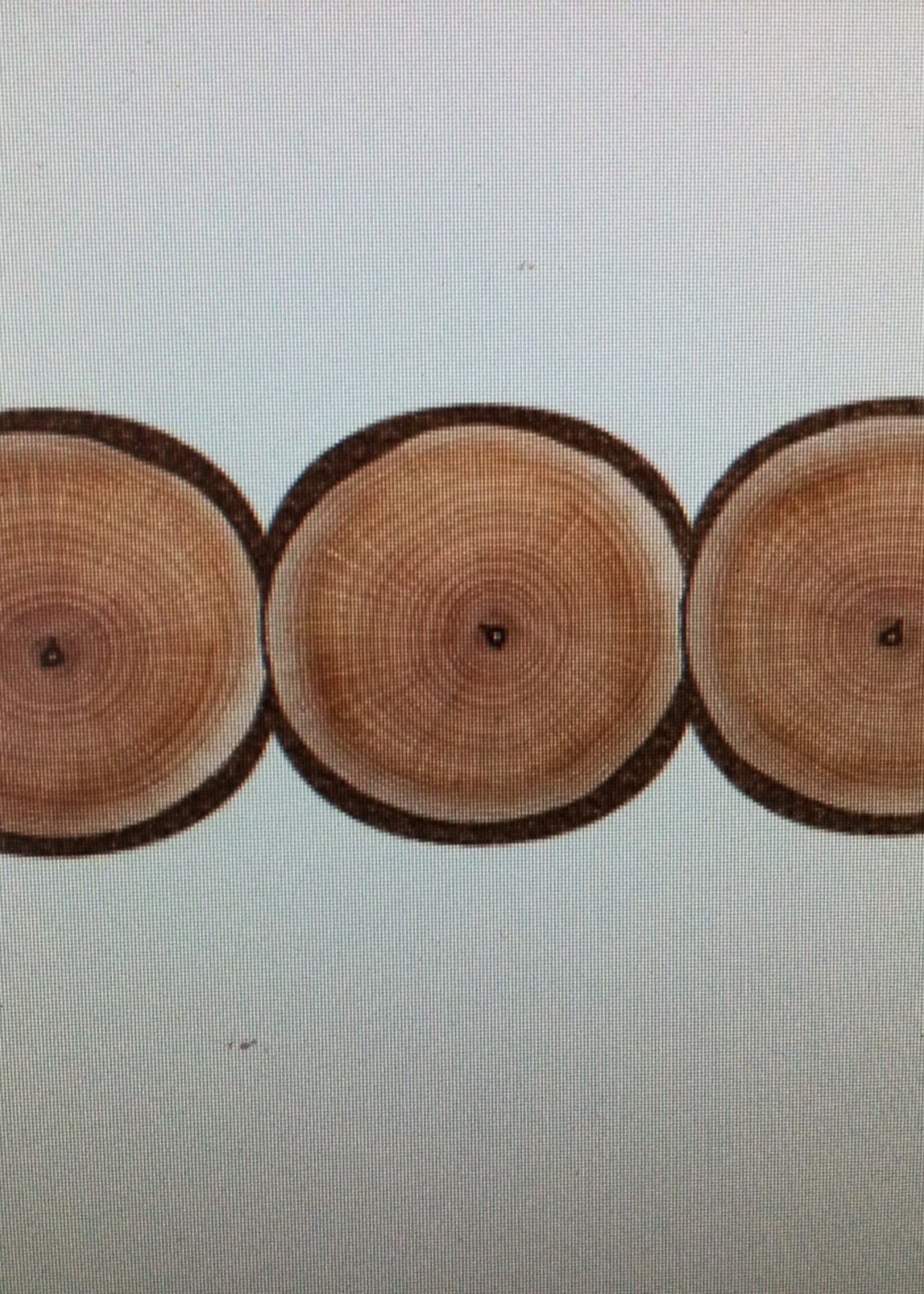 A Close Knit Class Wood Circles Border 37'