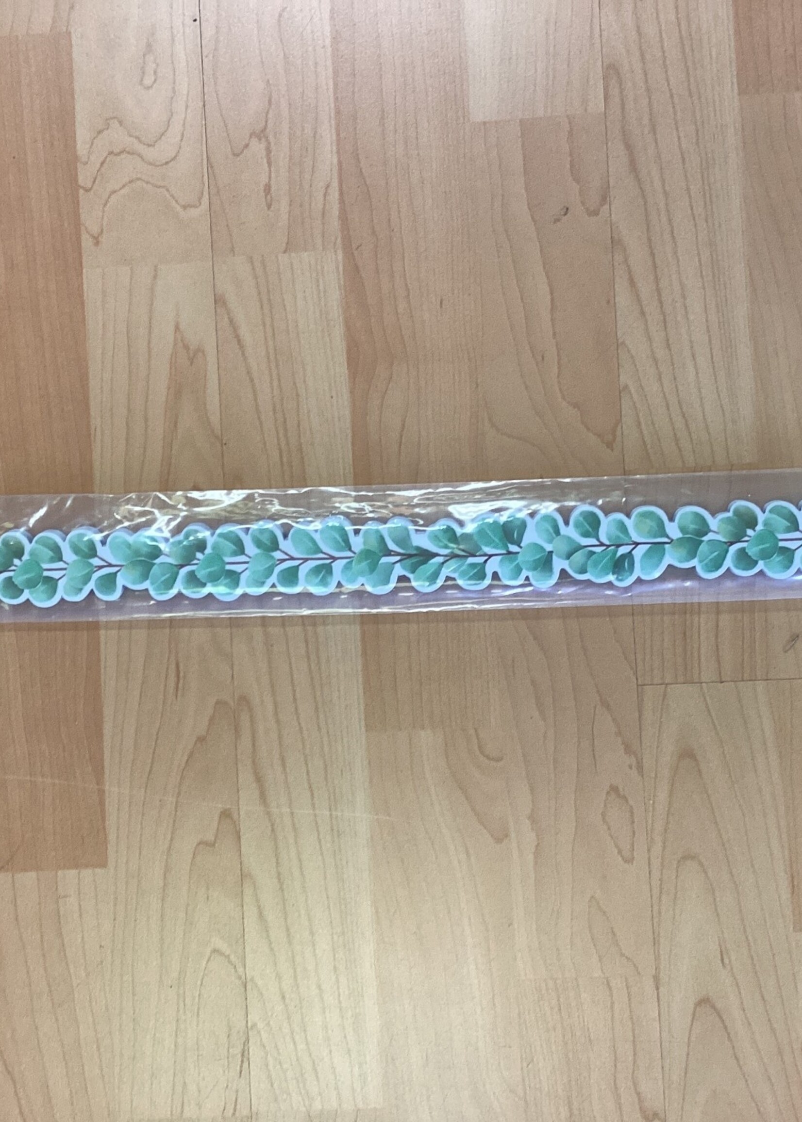 Eucalyptus Magnetic Border 24'
