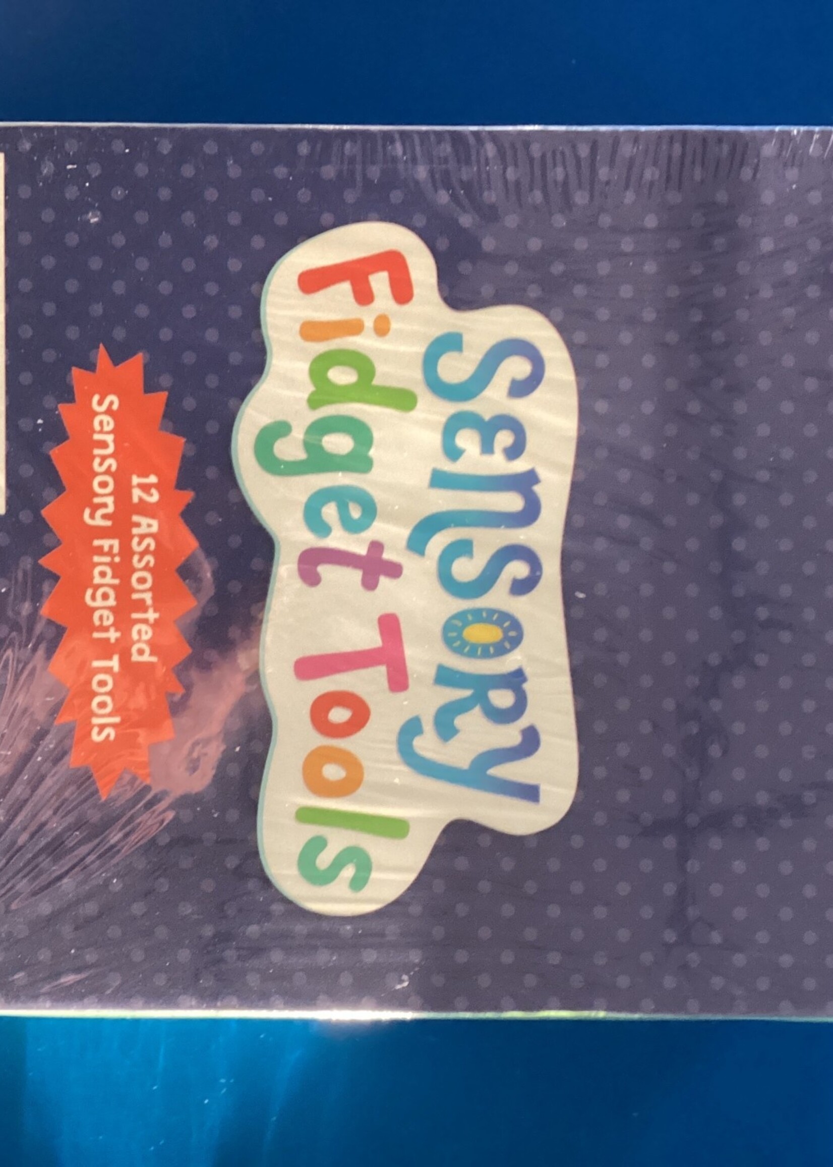 Sensory Fidget Tools 12pc