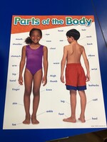 Parts of the Body Chart