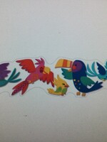 You Can Toucan Border 37'