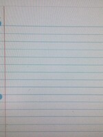 Notebook Paper Poly Chart 13"x19"