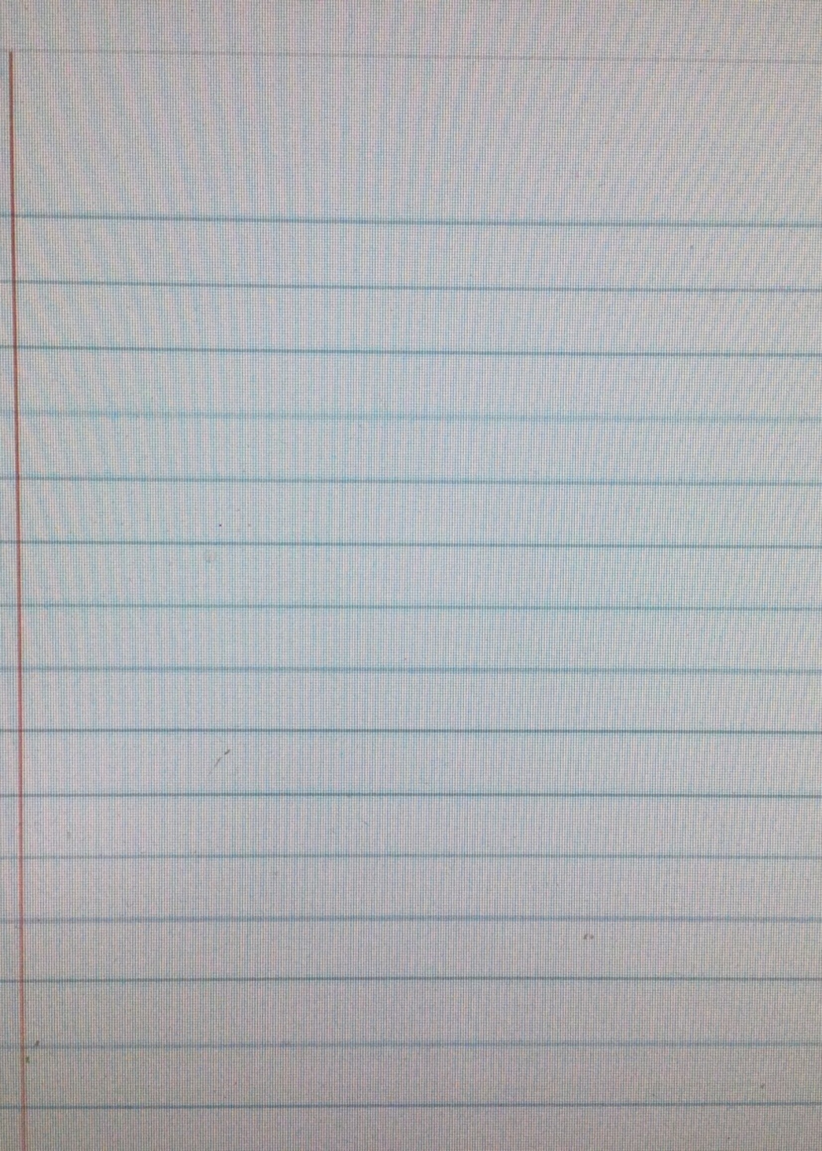 Notebook Paper Poly Chart 13"x19"