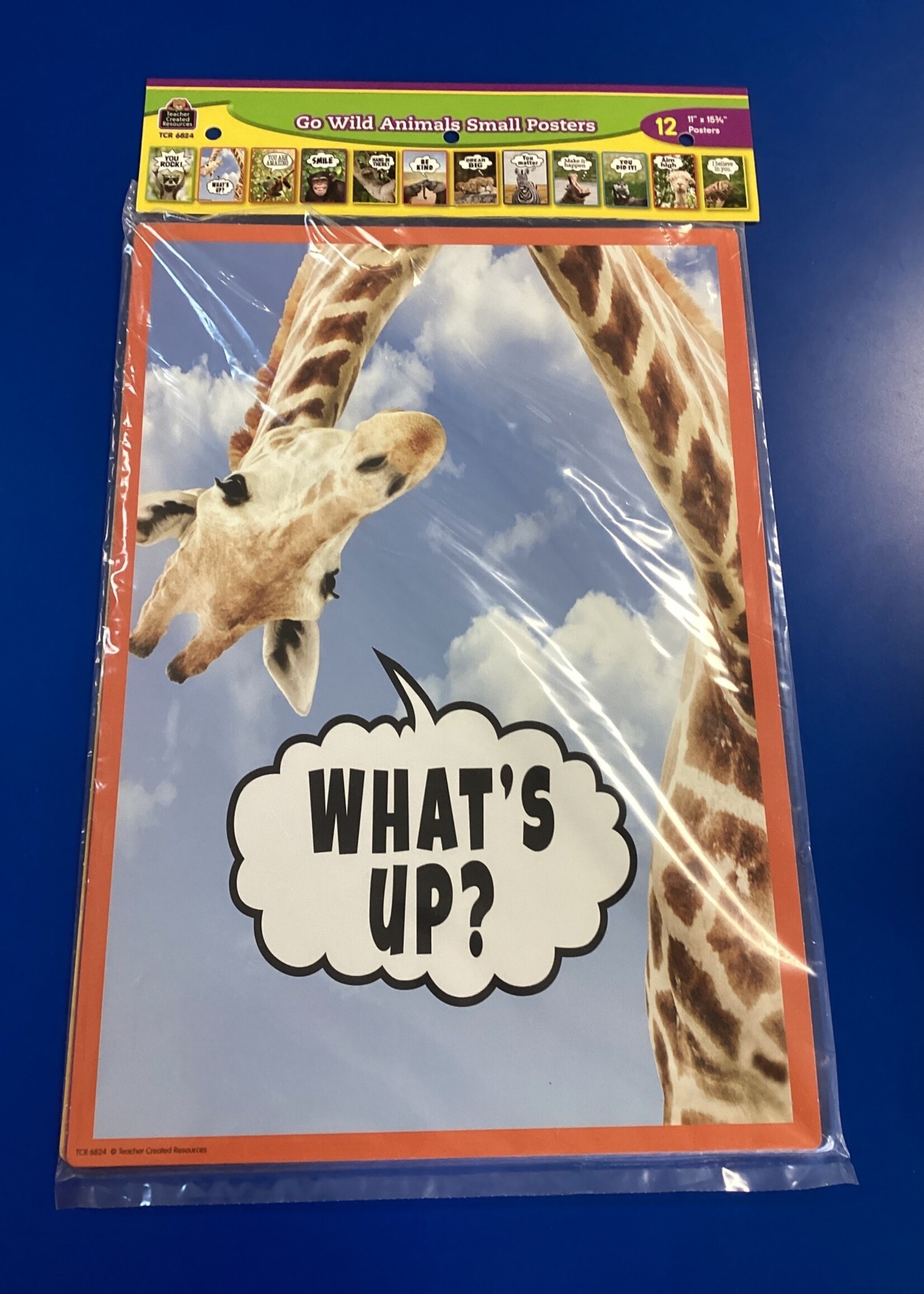 Go Wild Animals Small Posters  11" x 15  3/4" 12pc