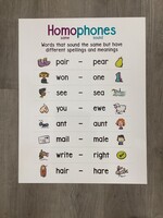 Homophones Anchor Chart