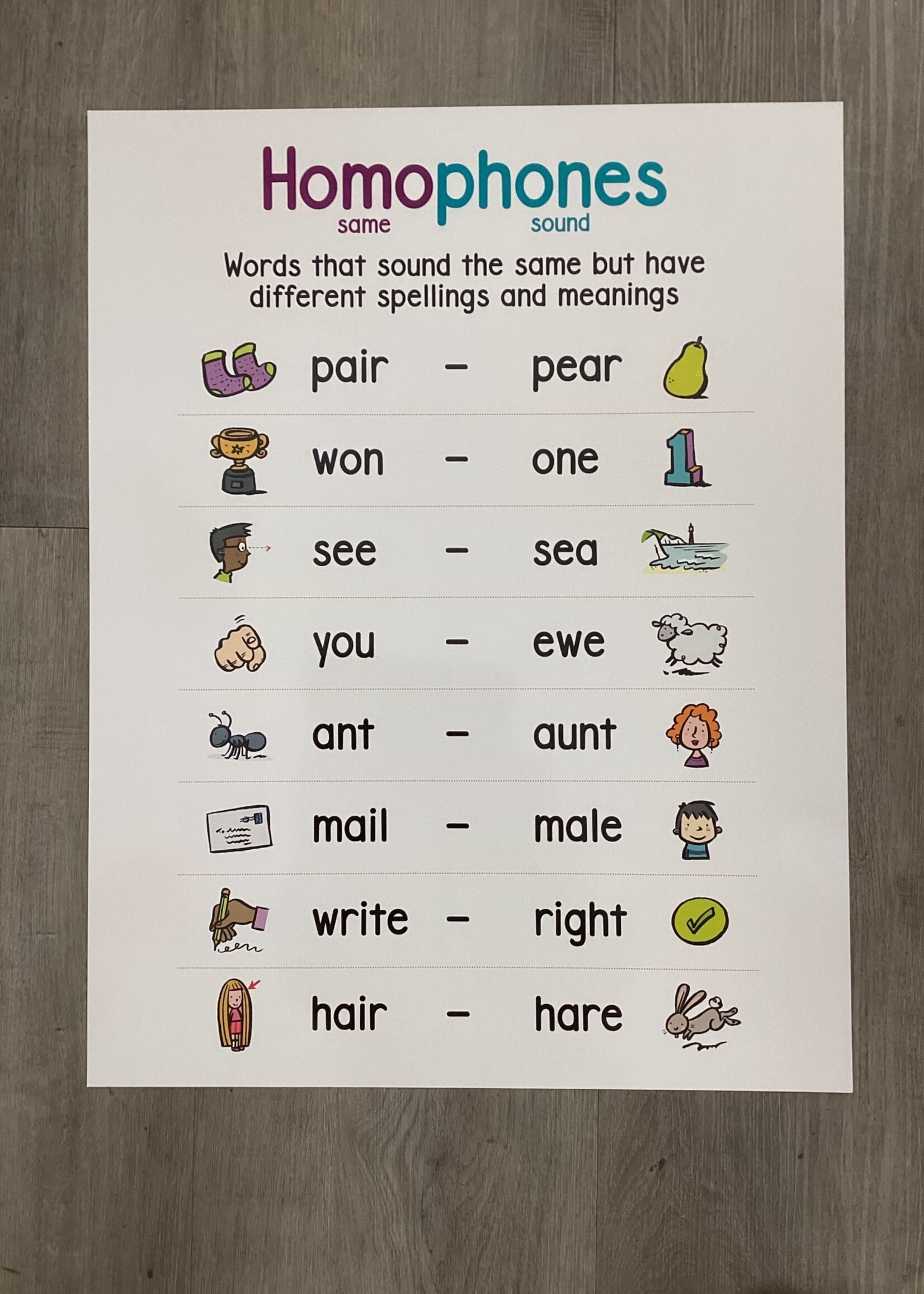 Homophones Anchor Chart