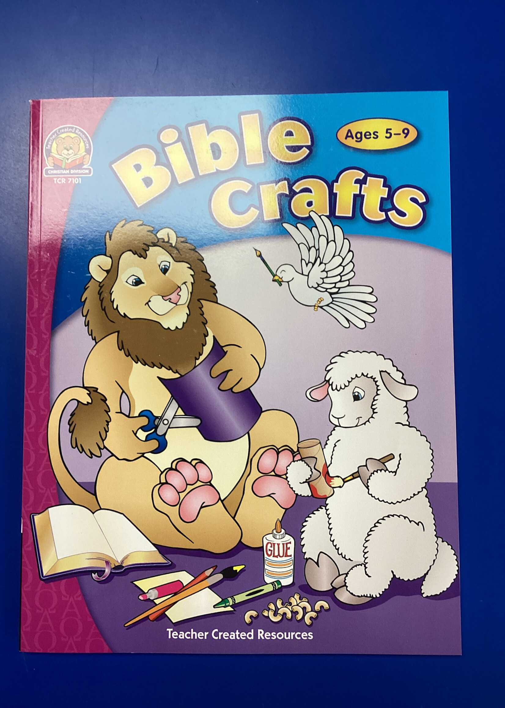 Bible Crafts Ages 5-9 144pgs