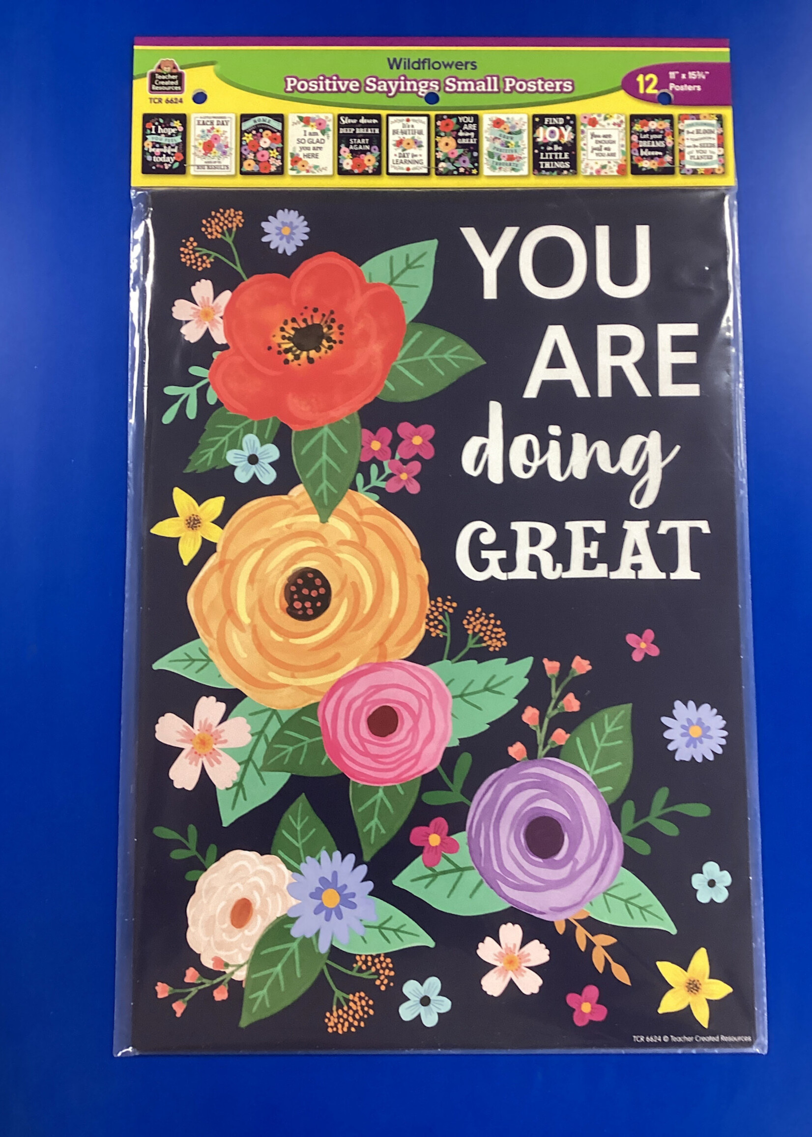 Wildflowers Positive Sayings Small Posters  12pc