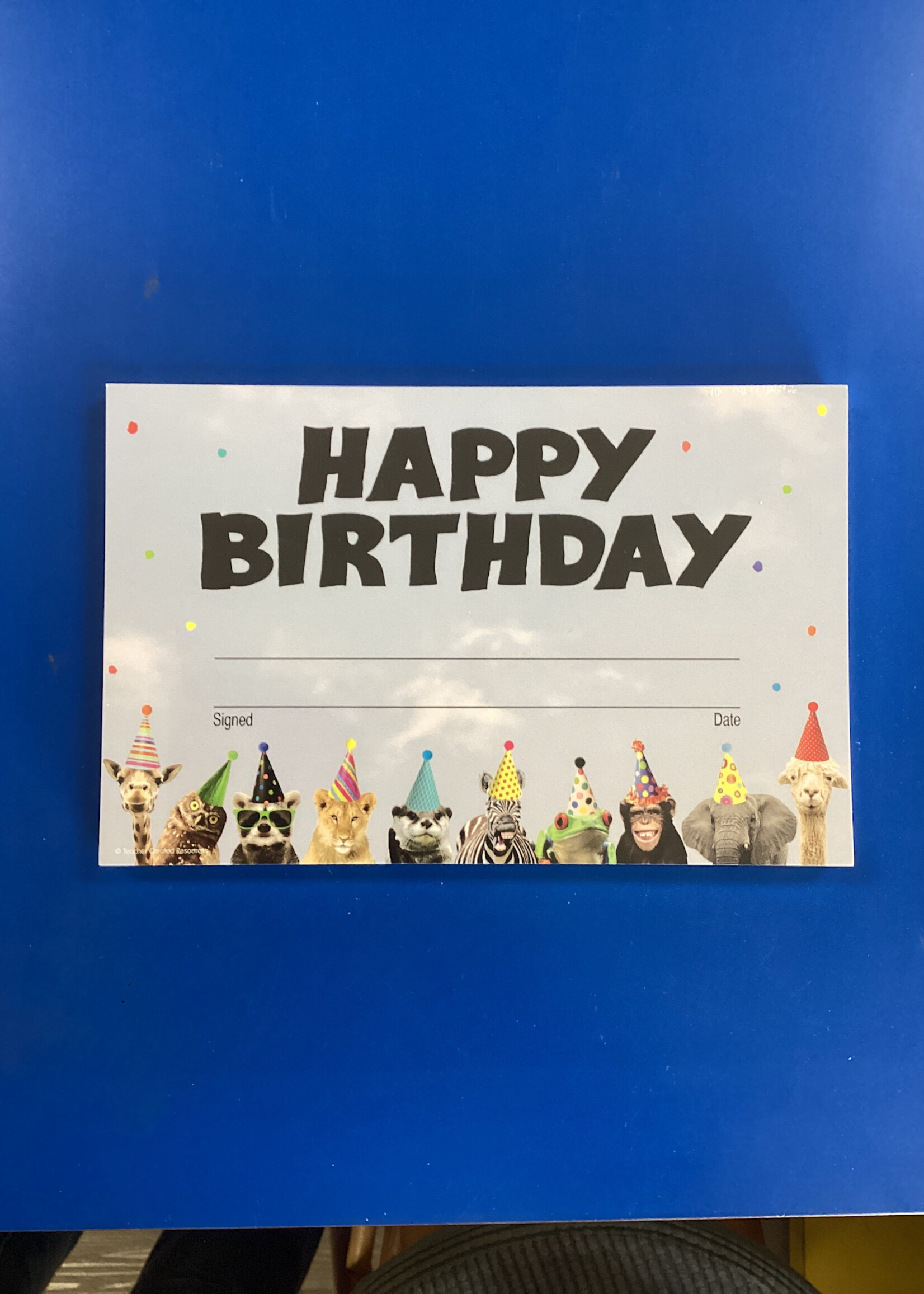 Go Wild Animals Happy Birthday Awards 30pk