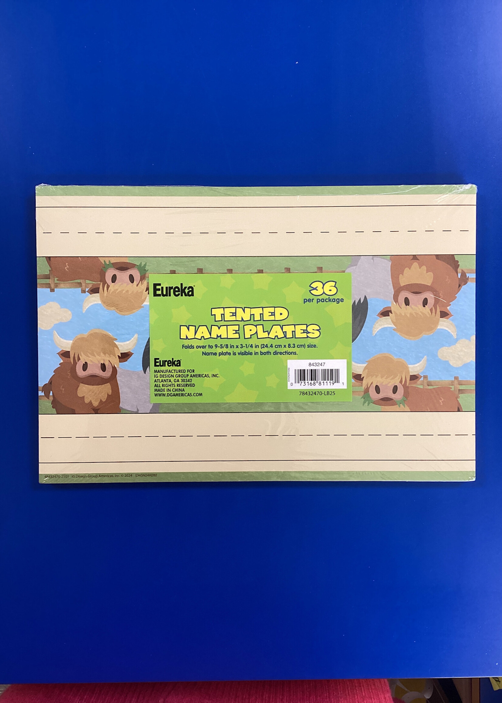 Wild Wild Classroom Tented Name Plates 36pk