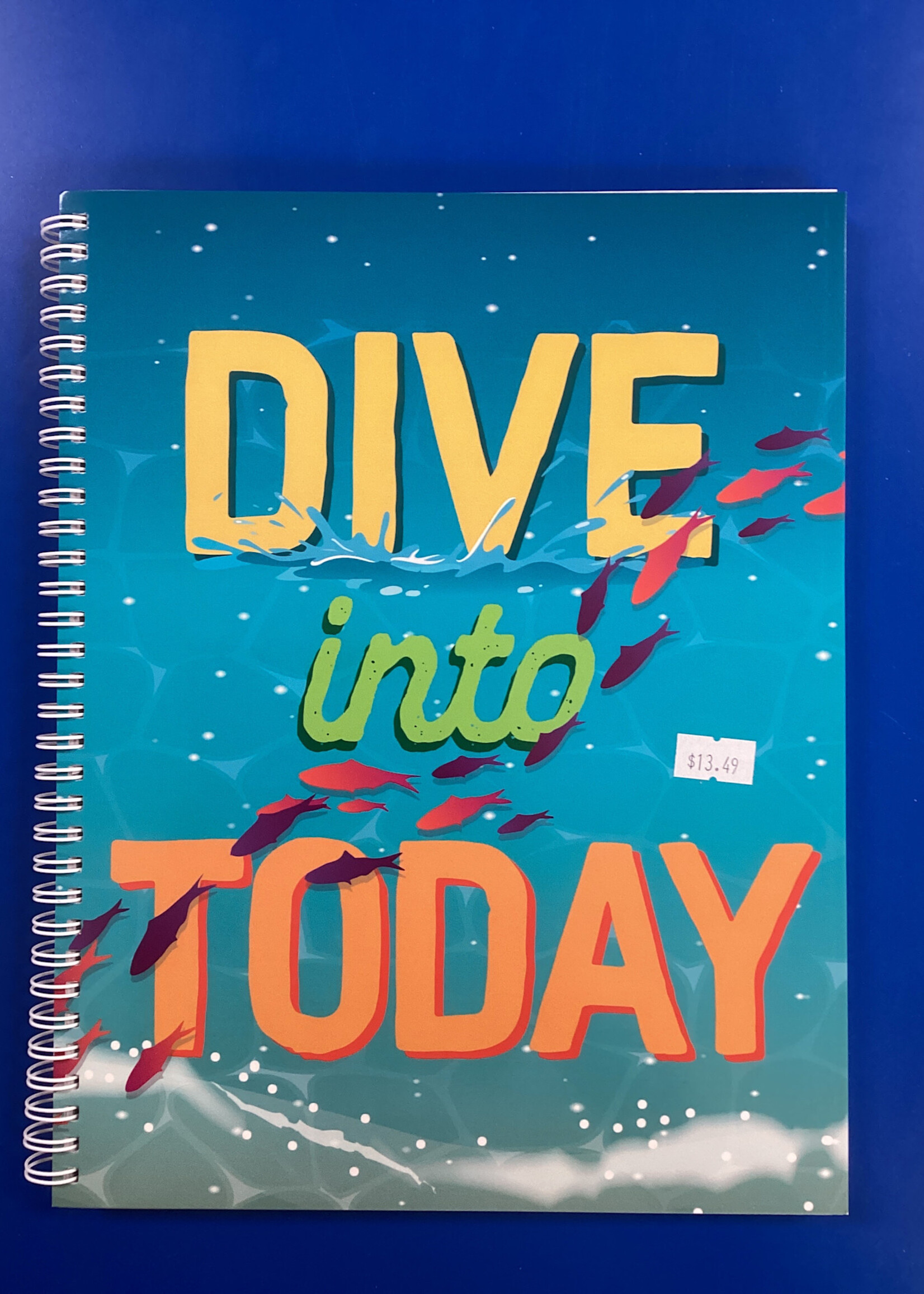 Seas the Day Dive Into Today Lesson Planner & Record Book