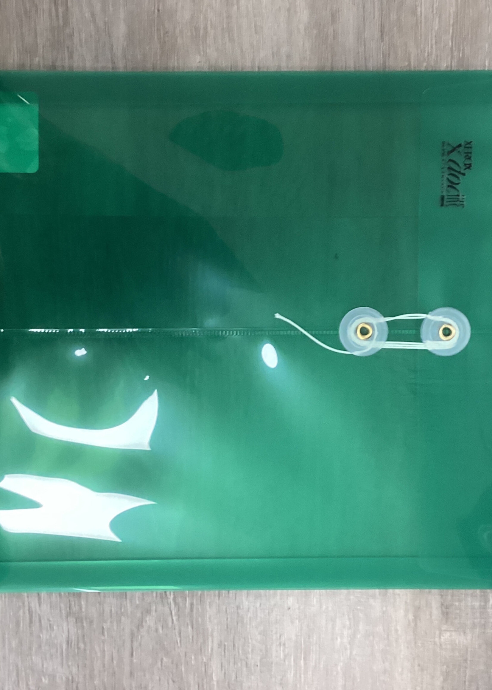 Poly String Tie Expandable Folder