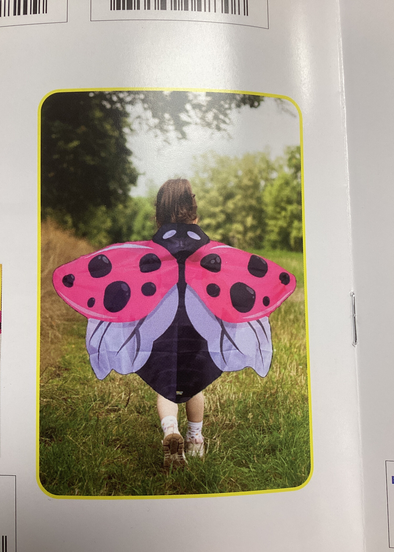 Wearable Ladybug Wings