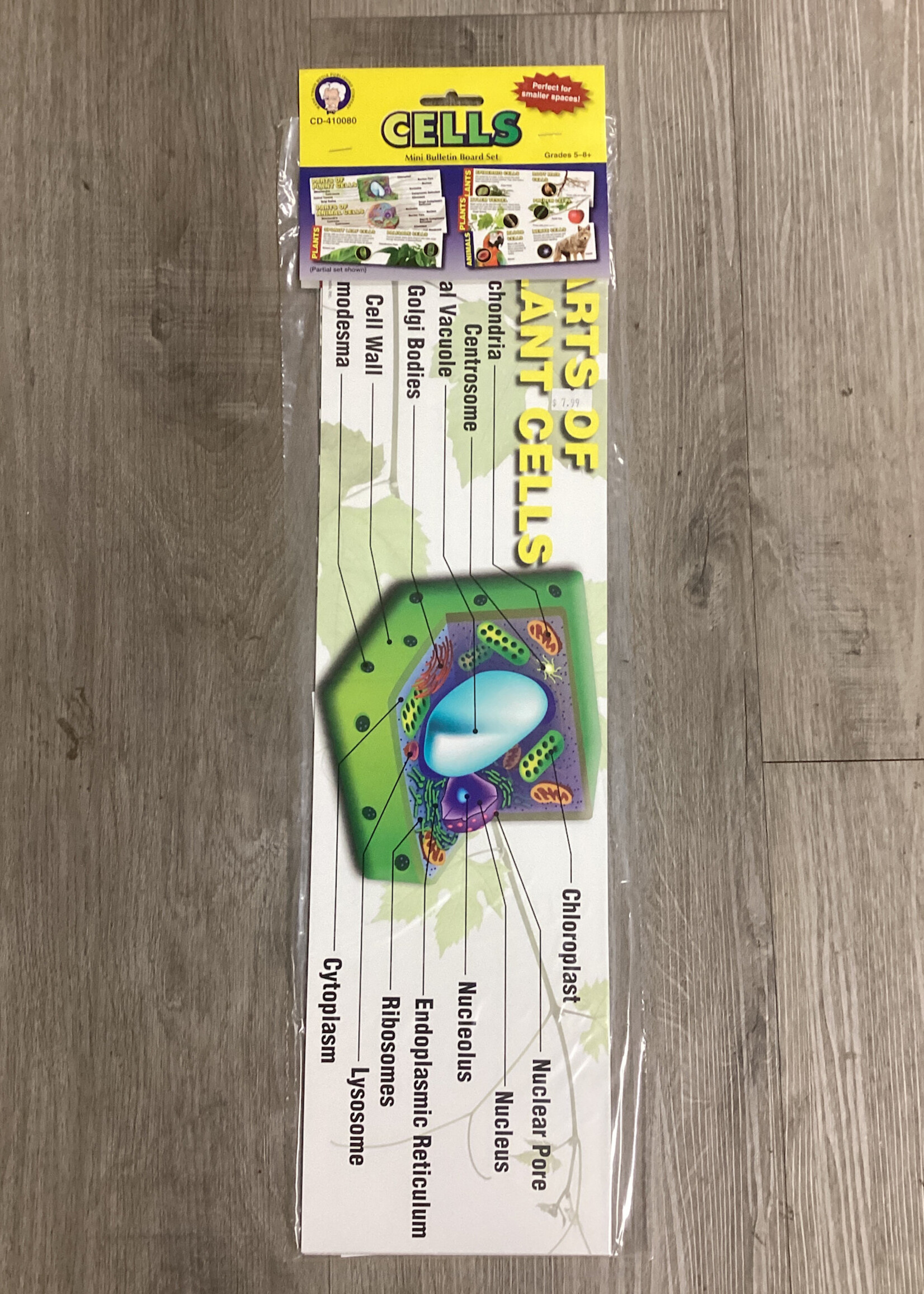 Cells Mini Bulletin Board