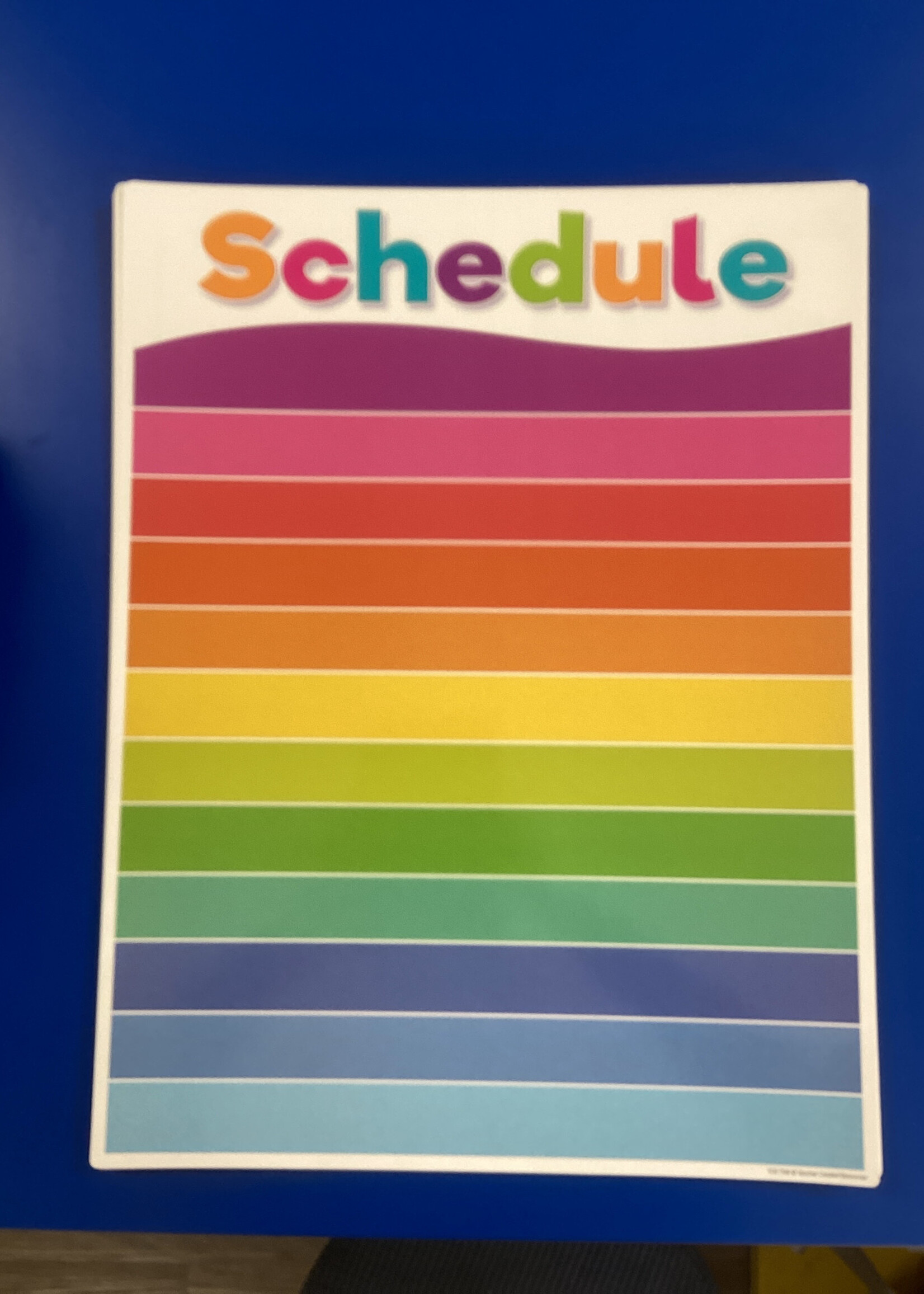 Colorful Schedule Write-On/ Wipe-Off Chart