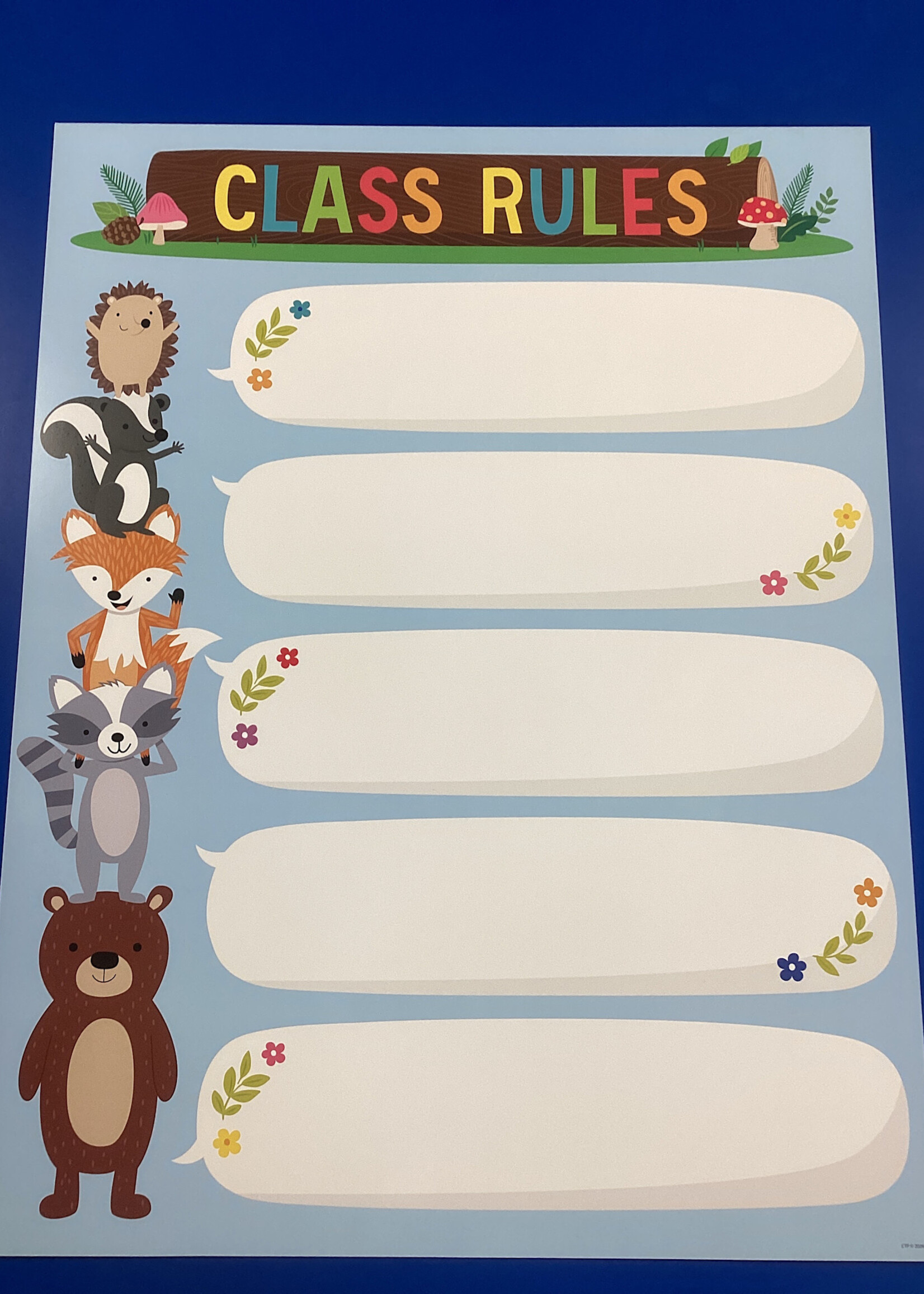 New Woodland Friends Class Rules Chart