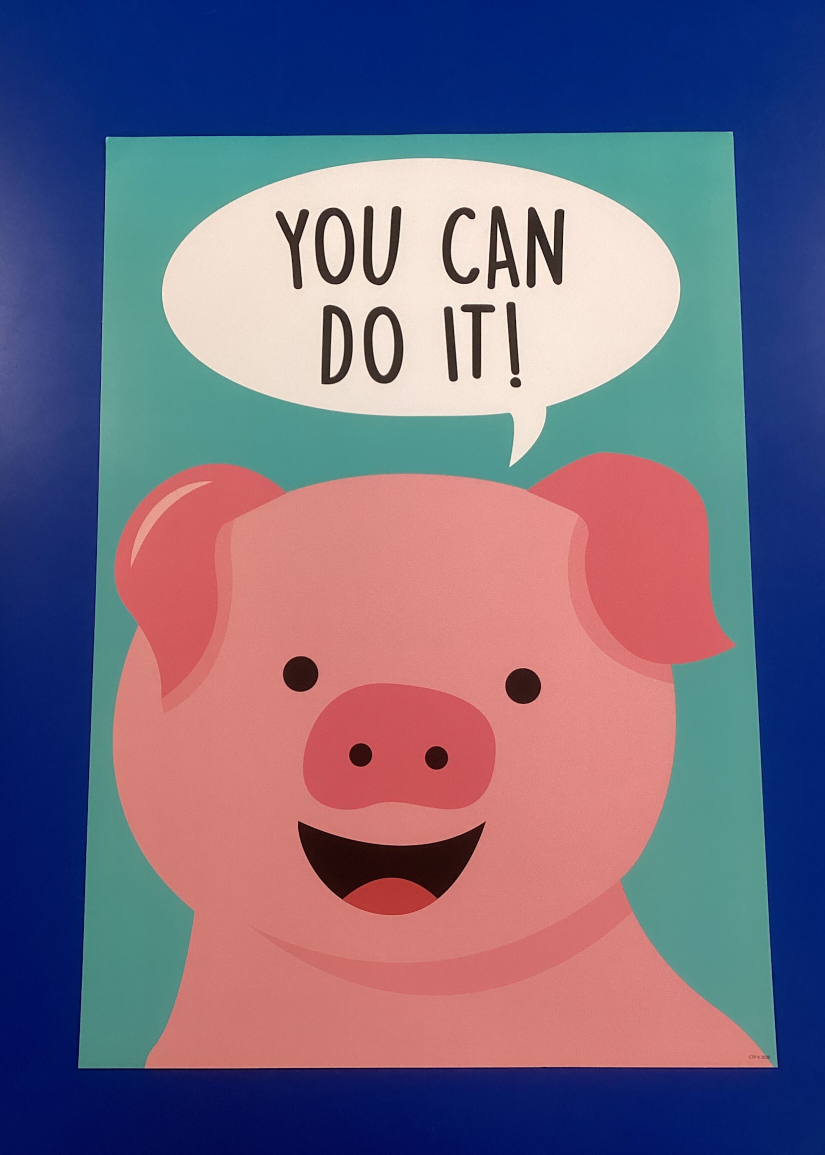 Farm Friends Pig You Can Do It! Poster