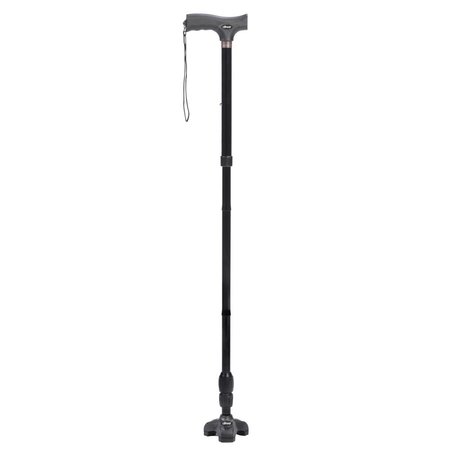 Flex N Go Cane