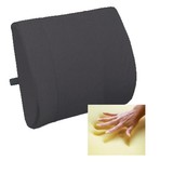 BRIGGS HEALTHCARE, DMS HOLDINGS INC. Memory Lumbar Cushion