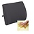 BRIGGS HEALTHCARE, DMS HOLDINGS INC. Memory Lumbar Cushion