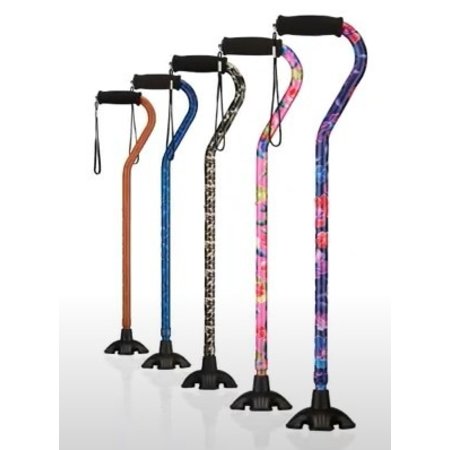 Nova Ortho-Med, INC. SugarCane