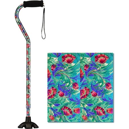 Nova Ortho-Med, INC. SugarCane